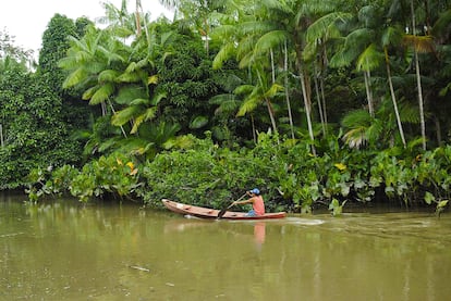 Un ribereño rema en una piragua por la orilla del río Amazonas.
