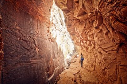 La ciudad de Page, al norte del Estado de Arizona, casi en la frontera con Utah, se encuentra en el corazón del llamado Gran Círculo, que concentra extraordinarios tesoros naturales del oeste de Estados Unidos, como el Gran Cañón del Colorado, Glen Canyon, Bryce Canyon, Monument Valley, Antelope Canyon o los parques nacionales de Arches, Capitol Reef y el de Zion. En este último, la piedra arenisca adopta caprichosas formaciones esculpidas por el agua como el Templo de Sinawava, un anfiteatro natural de paredes verticales; el Gran Trono Blanco o los Tres ­Patriarcas. El cañón de Zion que da nombre a este último parque nacional ofrece rutas a pie como la que lleva, tras cinco horas subiendo y bajando por senderos de roca, hasta Angels Landing, un promontorio con grandes vistas del paisaje, o la que recorre el Echo Canyon (en la foto) por una angosta cornisa que serpentea por las paredes del desfiladero, que en este tramo se estrecha formando un corredor abovedado.