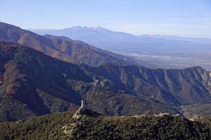 Massís de l'Albera Pirineu