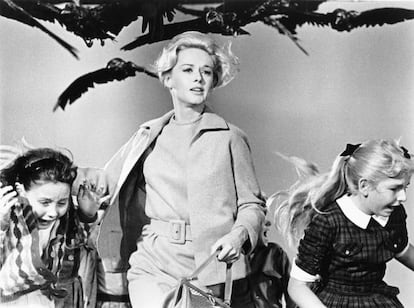 <strong> Cómo es.</strong> Cuando, por causas desconocidas, de pronto los pájaros se declaran en rebeldía y atacan a los humanos, quien se lleva la peor parte es Melanie Daniels (interpretado por Tippi Hedren). El personaje sufre en la película los ataques despiadados de las aves, pero la actriz también fue sometida durante el rodaje al sadismo del misógino Hitchcock, que la torturó física y psicológicamente. </p> <strong> Cómo quedaría.</strong> Una Melanie Daniels empoderada en lugar de victimizada sería una bonita idea de partida. Que el acartonado Rod Taylor sea objeto de la agresividad de los pájaros, mientras ella acude a su rescate con un lanzallamas cuando las cosas se ponen feas. Nada impide además que lo haga impecablemente vestida con esos estupendos 'tailleurs', aunque del collar de perlas podría prescindir, porque las perlas hacen muy mujer-objeto.