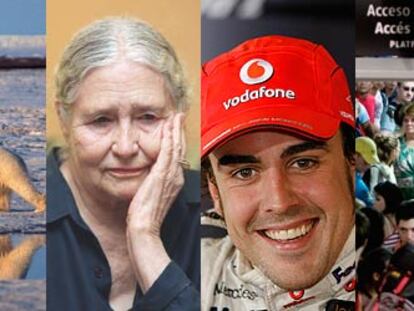 Sociedad, cultura, deportes, local...