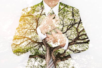 Double Exposure Businessman in Suit with Big Tree