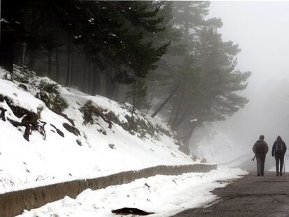 Navacerrada esta mañana.