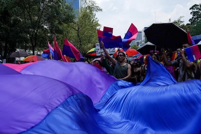 Un contingente de personas bixsexuales sacuden su bandera durante la manifestación de este 29 de junio.  