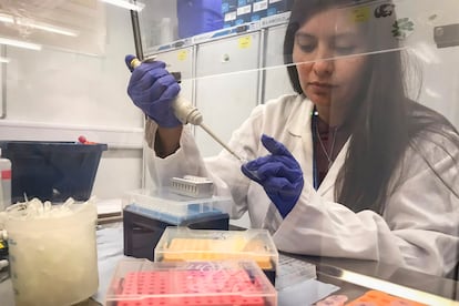 Paola Nogales en su laboratorio.