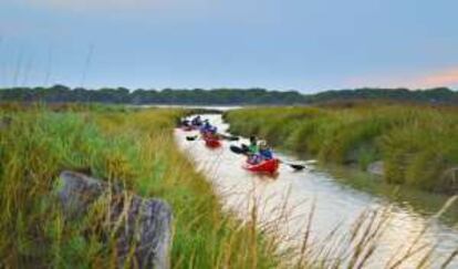 Excursión en kayak por el parque nacional de Doñana.