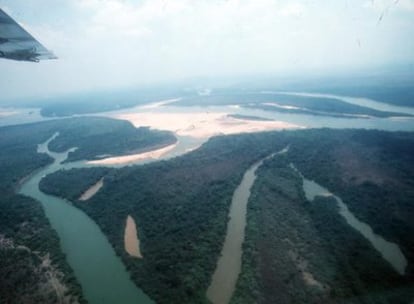 Selva del Amazonas, en Brasil.