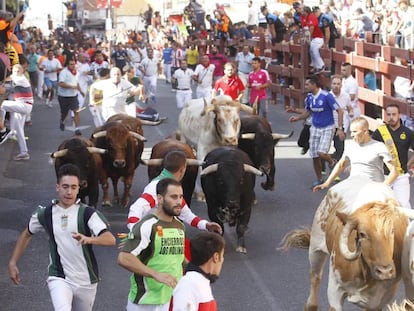 Los encierros de las fiestas patronales de San Sebastia&aacute; de los Reyes en 2016.