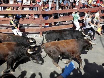 Encierro en las fiestas de San Sebasti&aacute;n de los Reyes