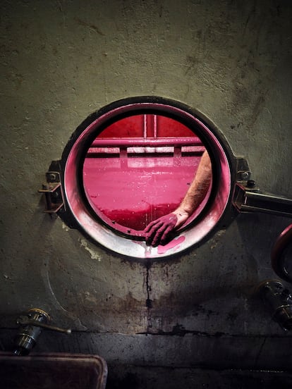 'La mano en el tanque'. Descubado en la bodega Alain Graillot (Francia).
