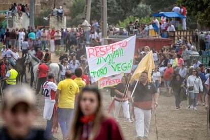 Pancartas reivindicativas del festejo tradicional del Toro de la Vega.