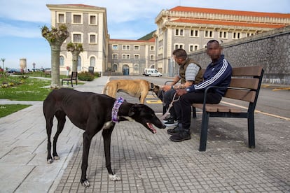 Dos internos de El Dueso (Santoña, Cantabria) sujetan a 'Alma' (en primer plano) y 'Tatoo', dos galgos a los que cuidan.