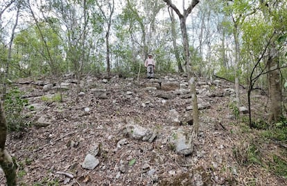 An archaeologist in the area where Ocomtun ('stone pillar' in Yucatec Maya), an ancient Maya city, was discovered. In Campeche, in May 2023.