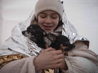 Las mascotas también huyen de la guerra de Ucrania