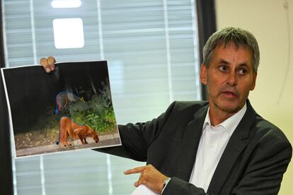 Michael Grubert, alcalde de Kleinmachnow, muestra una foto que analiza la forma del animal que se confundió con una leona durante una rueda de prensa este viernes.