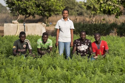 Aminata Ly (26 años), de pie, junto a sus hermanos Bacary, Aliou, Abdoulaye y Seydi, de izquierda a derecha, en la granja de su propiedad en Sibéré Kande, región de Kolda. Ella estudió Empresariales en Marruecos, pero decidió regresar a su pueblo natal para trabajar la tierra. Su finca es un vergel de rábanos, zanahorias, tomates, moringa, pimientos y papayeros. Está convencida de que la agricultura ecológica es rentable y fabrica su propio abono a partir de excrementos de animales.