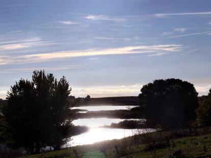 A view of the River Guadiana before it reaches the Tablas de Daimiel.