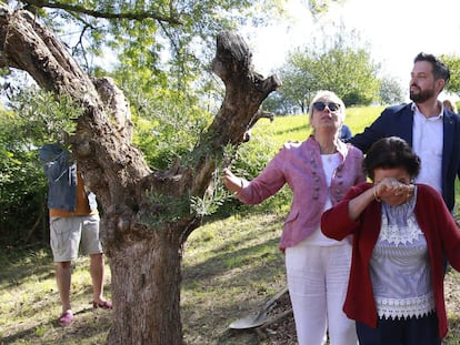 La familia de Antonio Cedillo, asesinado por ETA, junto al olivo plantado en el acto de Rentería.