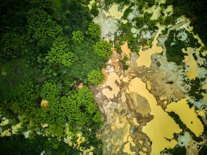 Dorado africano