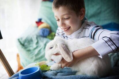 Un niño de 10 años con Síndrome de Asperger en una sesión de terapia con animales.