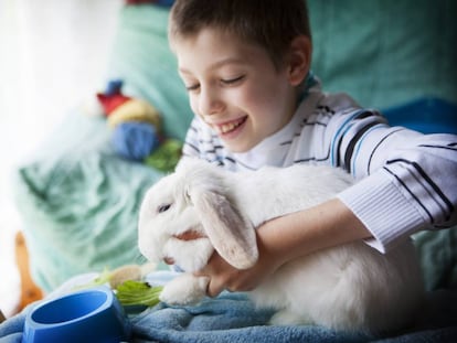 Un niño de 10 años con Síndrome de Asperger en una sesión de terapia con animales.