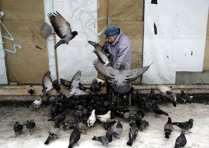 Una persona alimenta a las palomas bajo la nieve en Belgrado. Los meteorólogos advierten de intensas nevadas y heladas en el oeste de los Balcanes.