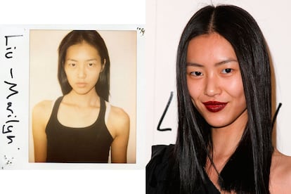 Liu Wen