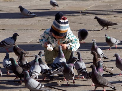 Un niño da de comer a un grupo de palomas en Pontevedra que este viernes presenta un tiempo primaveral.