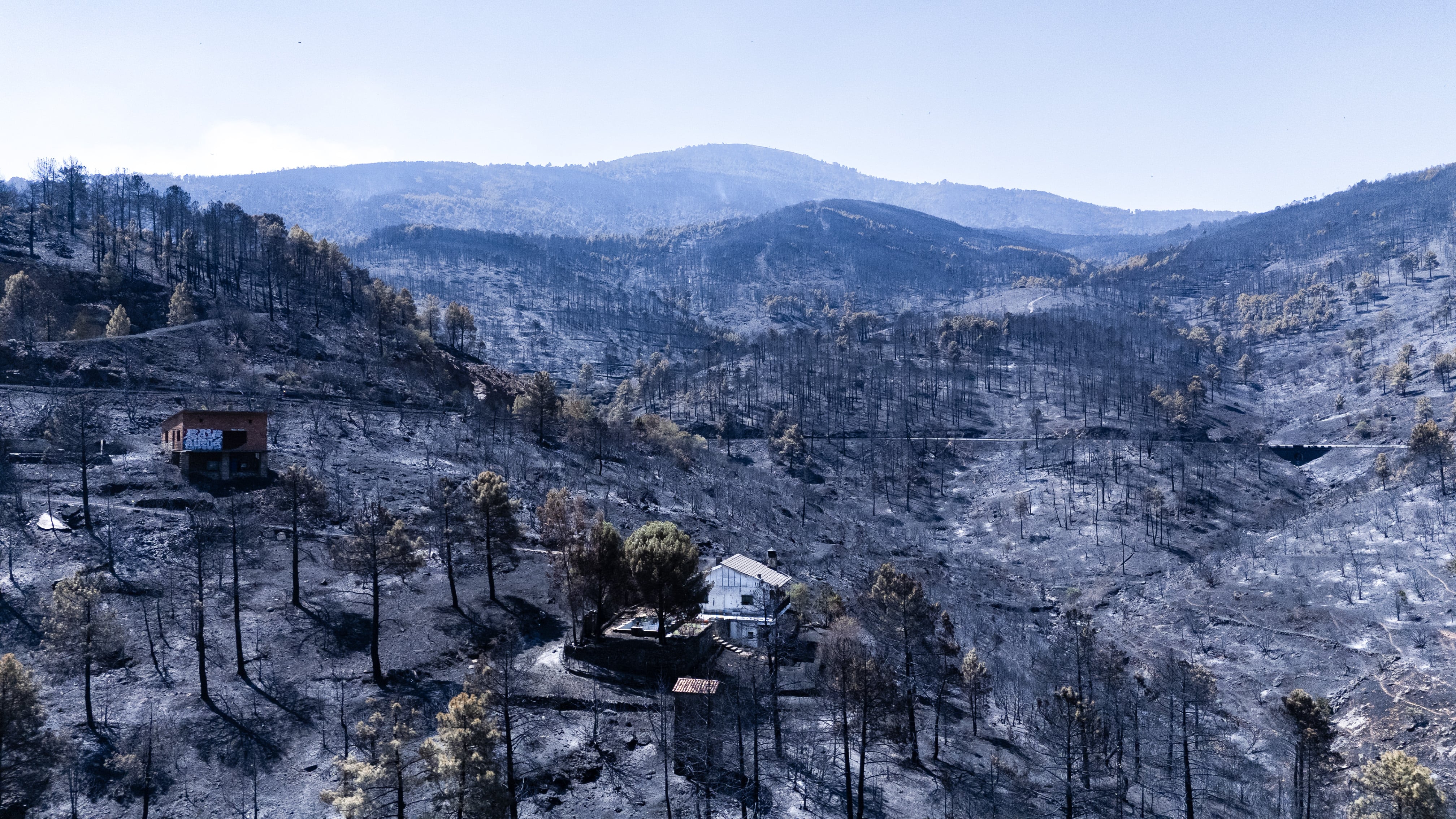 Zona afectada por el incendio forestal de El Tiempo (Ávila), en julio.