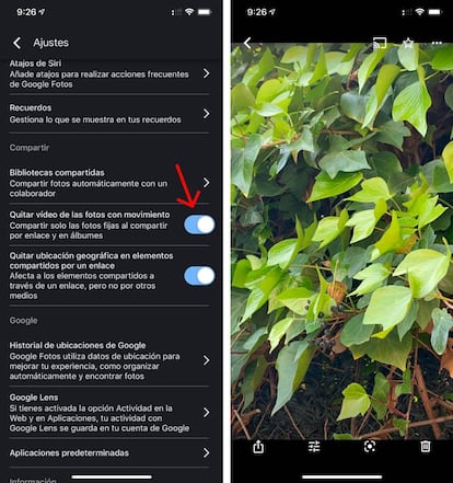 Desactivar movimiento de Google Fotos.