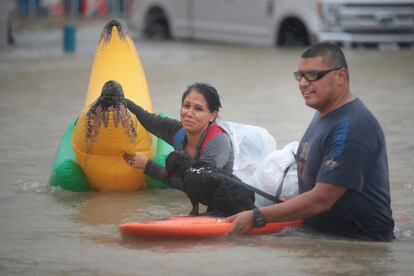 Dos residentes evacúan, junto a su mascota, su hogar inundado por las lluvias torrenciales causadas por el huracán Harvey en Houston, Texas.