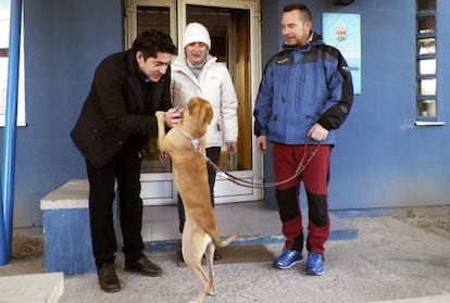 El alcalde de Alcorc&oacute;n, David P&eacute;rez (izquierda), entrega a Teresa Romero y su marido, Javier Lim&oacute;n, a su nuevo perro adoptado, &#039;Alma&#039;. 