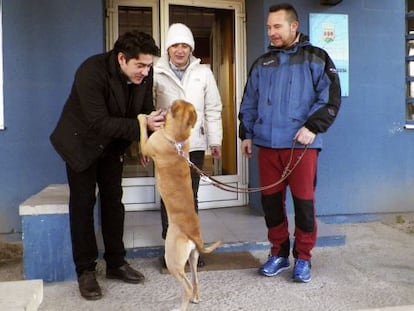 El alcalde de Alcorc&oacute;n, David P&eacute;rez (izquierda), entrega a Teresa Romero y su marido, Javier Lim&oacute;n, a su nuevo perro adoptado, &#039;Alma&#039;. 