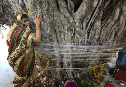 Una mujer india realiza un ritual religioso junto al árbol Banyan durante el festival Vat Purnima celebrado a las afueras de Bombay, India.