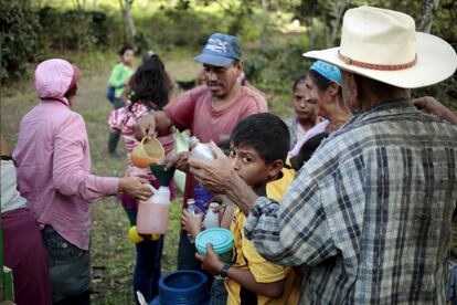 Un trabajador distribuye bebidas para cortadores de café durante una pausa en la finca de Nogales en Jinotega, Nicaragua.