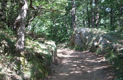 Pista forestal que prevé asfaltar el Ayuntamiento de Montseny.