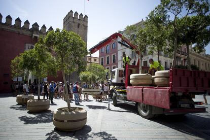 Trabajadores del Ayuntamiento de Sevilla colocan grandes maceteros en las zonas turísticas de la ciudad como protección contra vehículos.