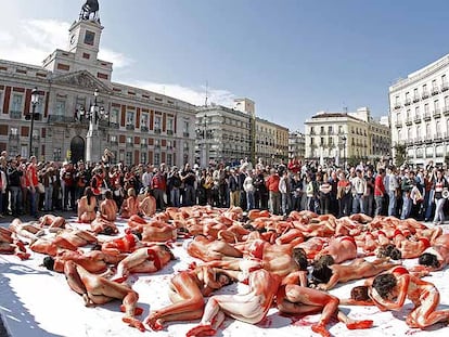 Pieles ensangrentadas contra la caza de focas