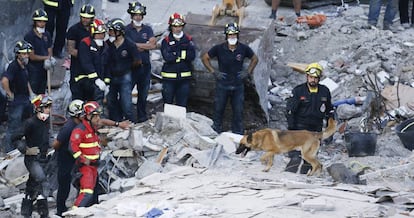 Fire crews search the rubble for survivors.