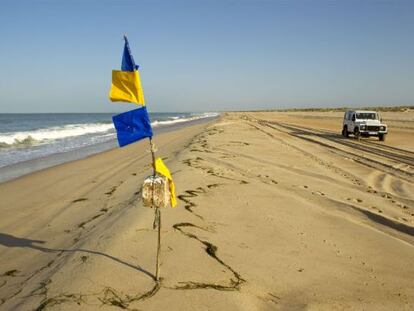 Una de las zonas de playa del espacio protegido de Doñana, en la provincia de Huelva.