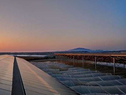 Instalación fotovoltaica de Velto.