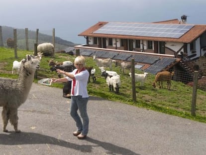 Edurne Iriondo da de comer a una alpaca junto a Maddiola, la casa rural que regenta en el barrio donostiarra de Igeldo.