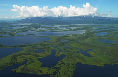 Vista aérea del Gran Pantanal, ubicado en la región del Mato Grosso, en Brasil.