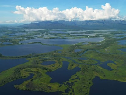 Vista aérea del Gran Pantanal, ubicado en la región del Mato Grosso, en Brasil.