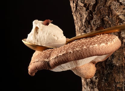 Helado de seta shiitake, de Cremela.