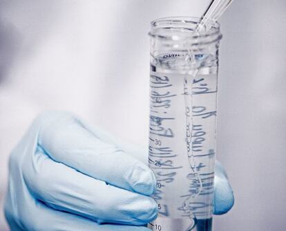 Precipitación de ADN en un tubo de ensayo.