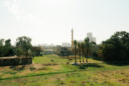 Vista general de la Isla de Qursaya desde la azotea de VeryNile, la iniciativa que paga por el plástico que las comunidades de pescadores de las islas de El Cairo recogen del río Nilo.