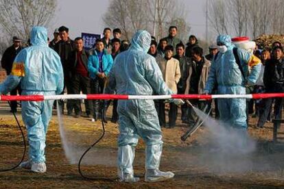 Desinfección de una carretera en la provincia china de Liaoning, tras detectarse un brote de gripe aviar.