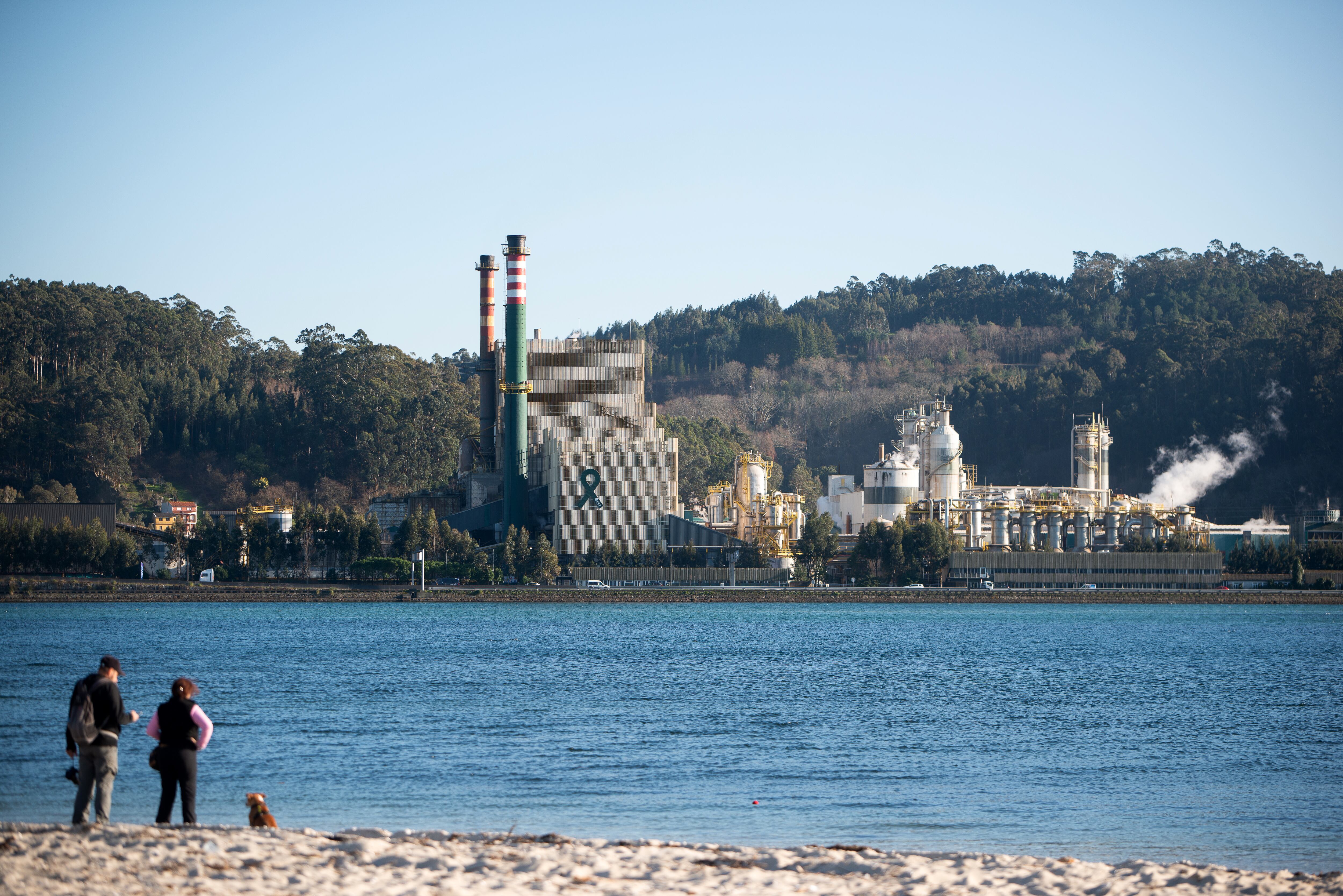 El Constitucional avala la prórroga hasta 2073 de la actividad de la biofábrica de Ence en Pontevedra 