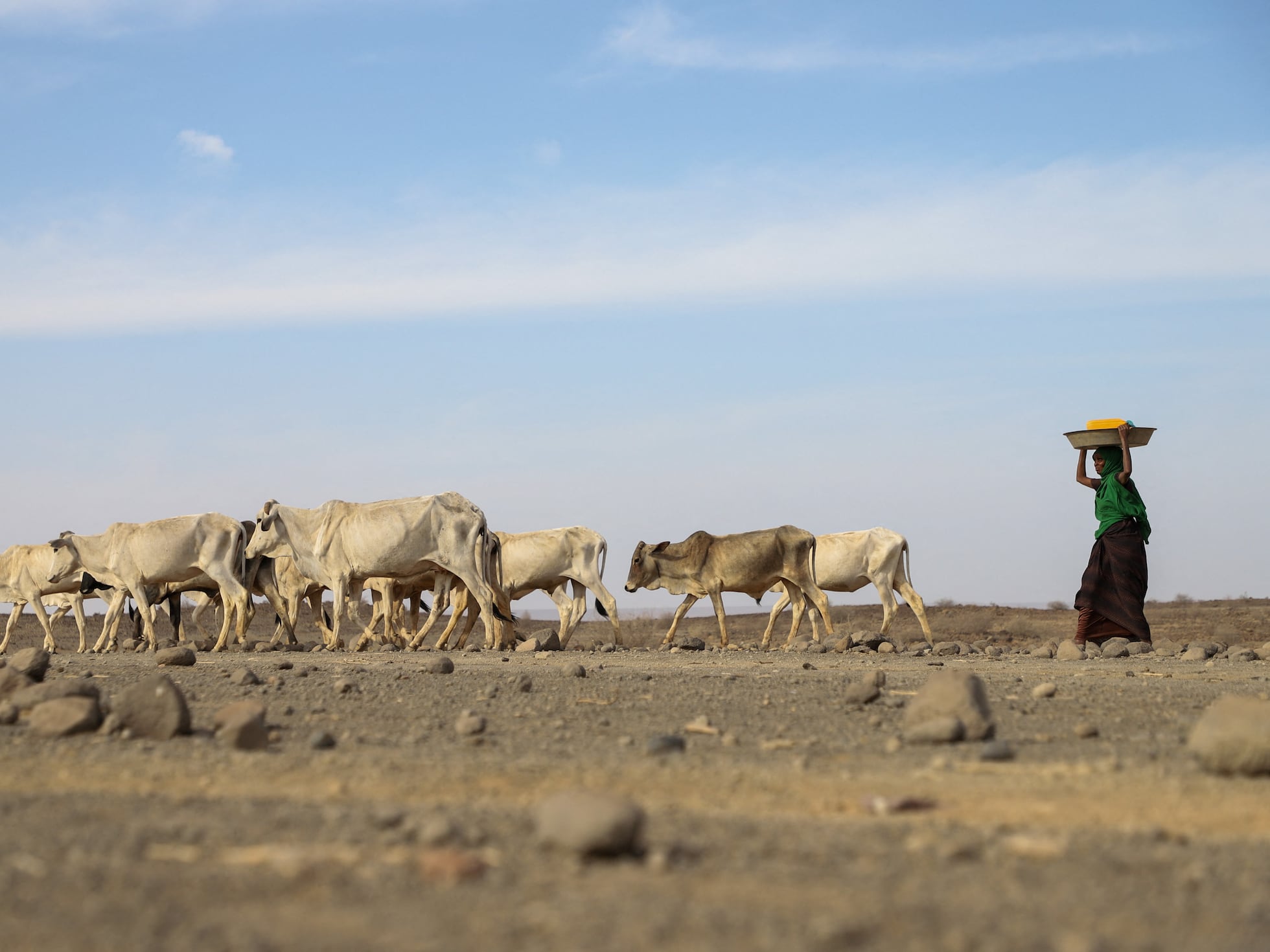 El Cuerno de África se enfrenta a la hambruna debido a su peor sequía en 40 años | Internacional | EL PAÍS